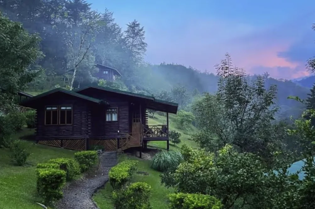 Hand-crafted luxury wood cabin on the forested hillside